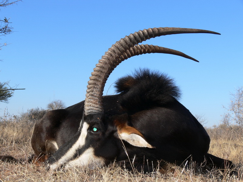 SUDAFRICA